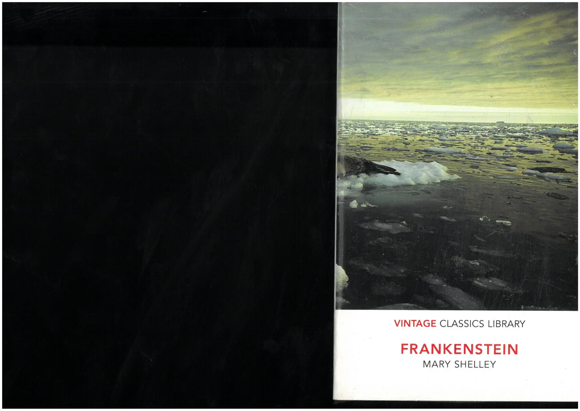 Frankenstein - MARY SHELLEY - Vintage classics library - Vue 1