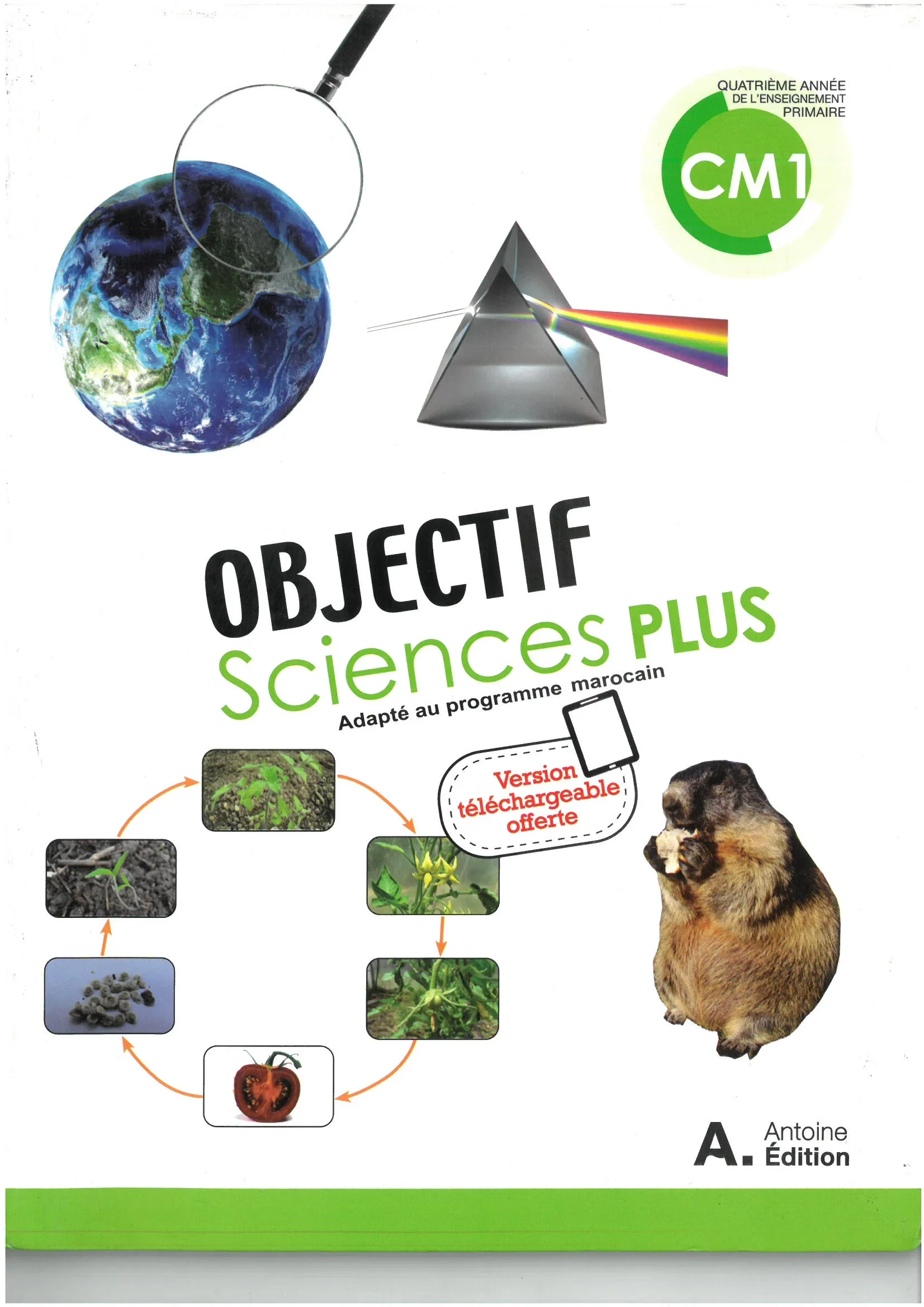 OBJECTIF SCIENCES PLUS CM1