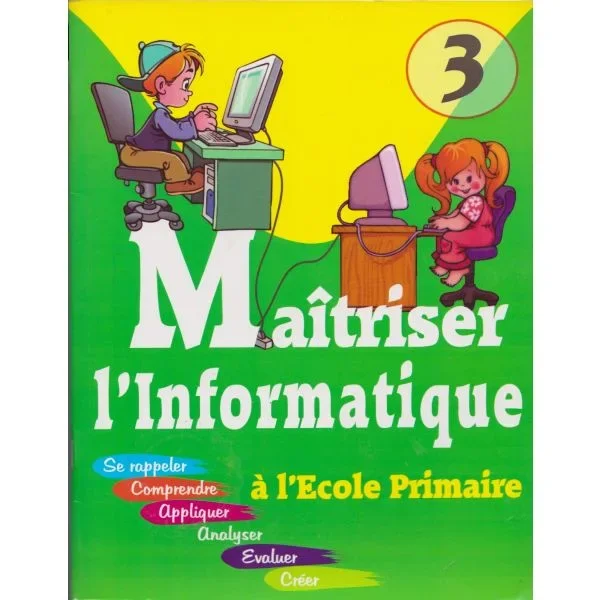 Maîtriser l'informatique N3+CD